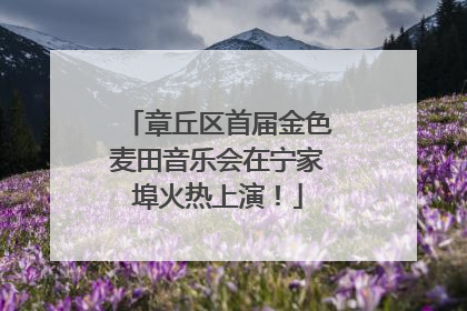 章丘区首届金色麦田音乐会在宁家埠火热上演！