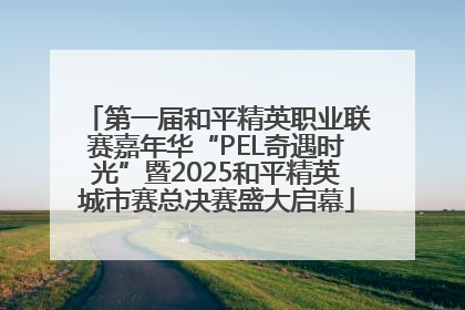 第一届和平精英职业联赛嘉年华“PEL奇遇时光”暨2025和平精英城市赛总决赛盛大启幕