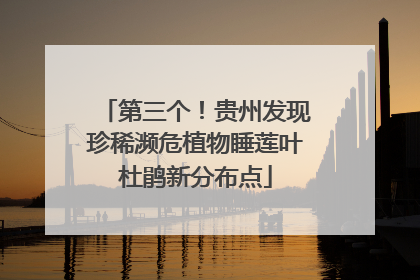 第三个！贵州发现珍稀濒危植物睡莲叶杜鹃新分布点