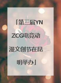 第三届YNZCG电竞动漫文创节在昆明举办