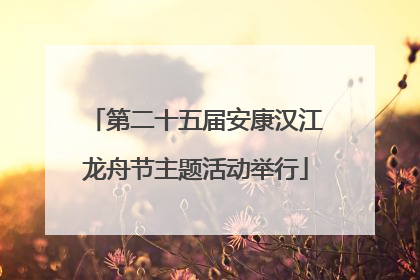 第二十五届安康汉江龙舟节主题活动举行
