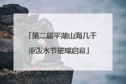 第二届平湖山海几千重泼水节璀璨启幕