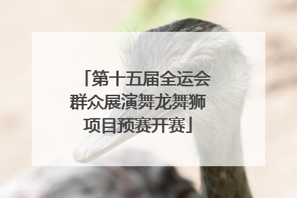 第十五届全运会群众展演舞龙舞狮项目预赛开赛