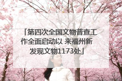 第四次全国文物普查工作全面启动以 来福州新发现文物1173处