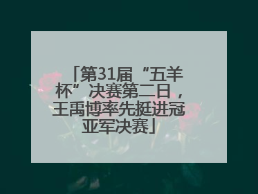第31届“五羊杯”决赛第二日，王禹博率先挺进冠亚军决赛