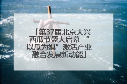 第37届北京大兴西瓜节盛大启幕 “以瓜为媒”激活产业融合发展新动能