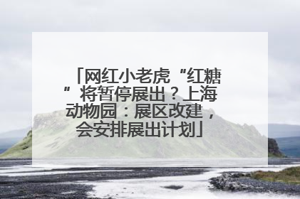 网红小老虎“红糖”将暂停展出？上海动物园：展区改建，会安排展出计划