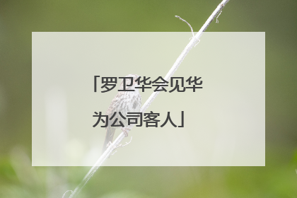 罗卫华会见华为公司客人