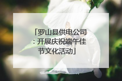 罗山县供电公司：开展庆祝端午佳节文化活动