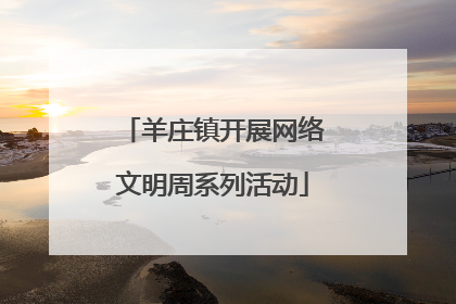 羊庄镇开展网络文明周系列活动