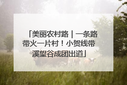 美丽农村路｜一条路带火一片村！小贺线带溪望谷成团出道