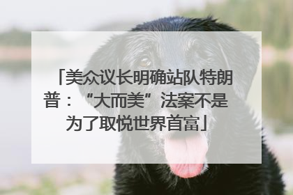 美众议长明确站队特朗普：“大而美”法案不是为了取悦世界首富