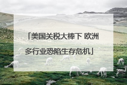 美国关税大棒下 欧洲多行业恐陷生存危机