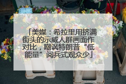 美媒：希拉里用挤满街头的示威人群画面作对比，嘲讽特朗普“低能量”阅兵式观众少