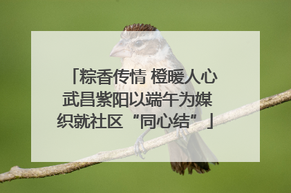 粽香传情 橙暖人心 武昌紫阳以端午为媒织就社区“同心结”