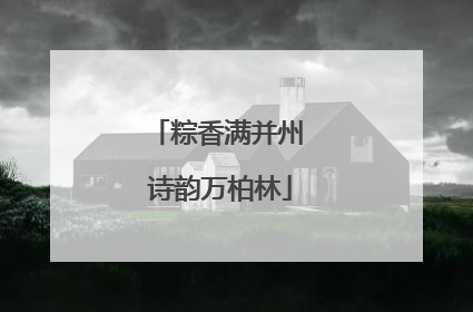 粽香满并州 诗韵万柏林