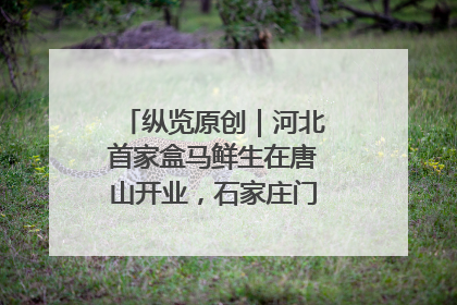 纵览原创｜河北首家盒马鲜生在唐山开业，石家庄门店预计8月开业