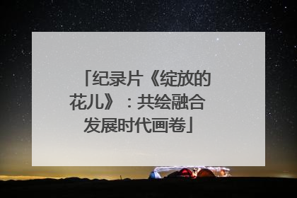 纪录片《绽放的花儿》：共绘融合发展时代画卷