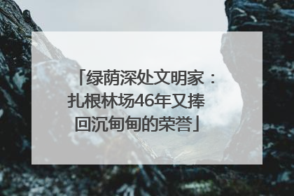 绿荫深处文明家：扎根林场46年又捧回沉甸甸的荣誉