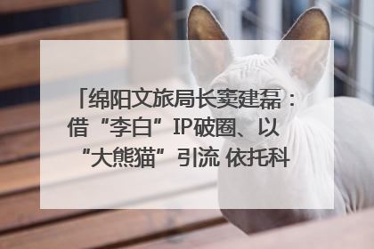 绵阳文旅局长窦建磊：借“李白”IP破圈、以“大熊猫”引流 依托科技优势绽放城市文旅魅力｜文旅局长说