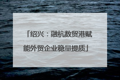 绍兴：融杭数贸港赋能外贸企业稳量提质