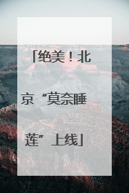 绝美！北京“莫奈睡莲”上线