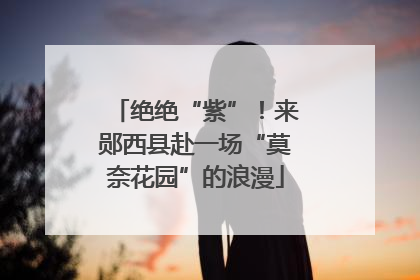 绝绝“紫”！来郧西县赴一场“莫奈花园”的浪漫