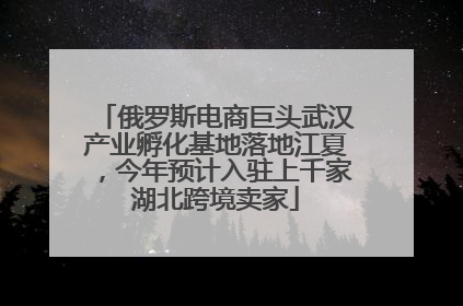 俄罗斯电商巨头武汉产业孵化基地落地江夏，今年预计入驻上千家湖北跨境卖家