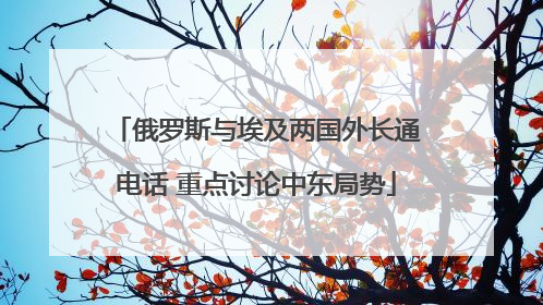 俄罗斯与埃及两国外长通电话 重点讨论中东局势
