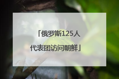 俄罗斯125人代表团访问朝鲜