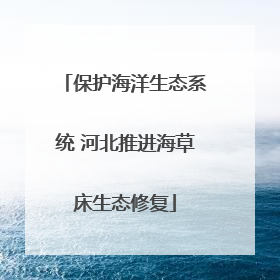 保护海洋生态系统 河北推进海草床生态修复