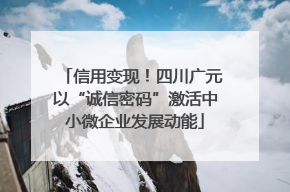 信用变现！四川广元以“诚信密码”激活中小微企业发展动能