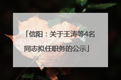 信阳：关于王涛等4名同志拟任职务的公示