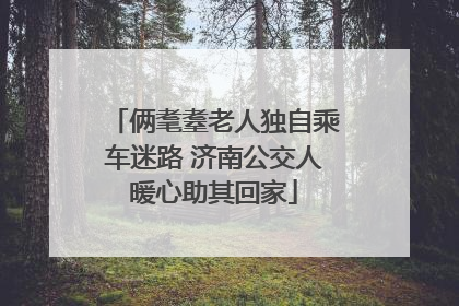 俩耄耋老人独自乘车迷路 济南公交人暖心助其回家