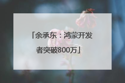 余承东：鸿蒙开发者突破800万