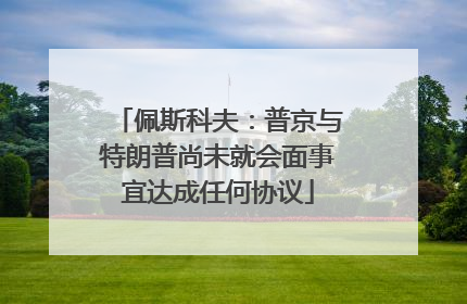 佩斯科夫：普京与特朗普尚未就会面事宜达成任何协议