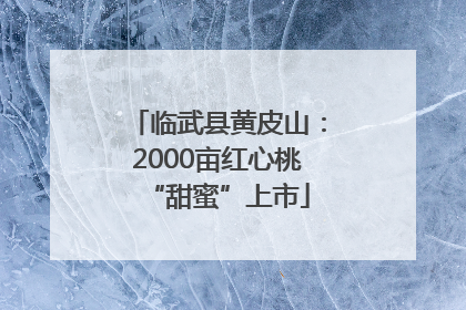 临武县黄皮山：2000亩红心桃“甜蜜”上市