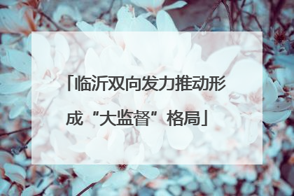 临沂双向发力推动形成“大监督”格局