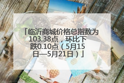 临沂商城价格总指数为103.38点，环比下跌0.10点（5月15日—5月21日）