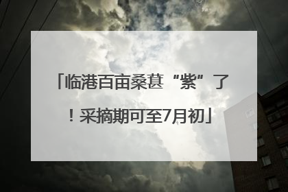 临港百亩桑葚“紫”了！采摘期可至7月初