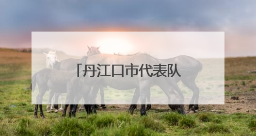 丹江口市代表队荣获2025年十堰市青少年田径锦标团体第一名