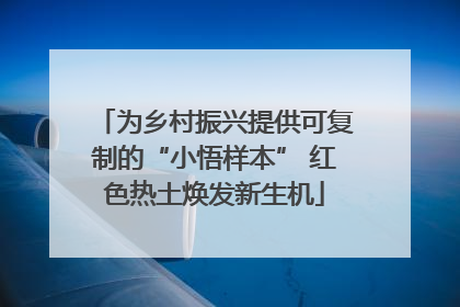 为乡村振兴提供可复制的“小悟样本” 红色热土焕发新生机