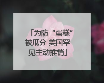 为防“蛋糕”被瓜分 美国罕见主动推销