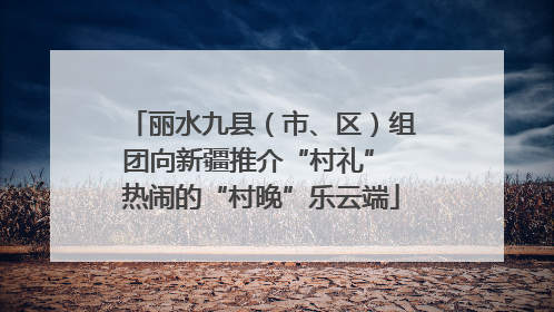 丽水九县（市、区）组团向新疆推介“村礼” 热闹的“村晚”乐云端