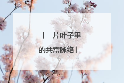 一片叶子里的共富脉络