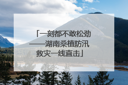一刻都不敢松劲——湖南桑植防汛救灾一线直击