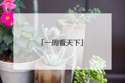 一周看天下