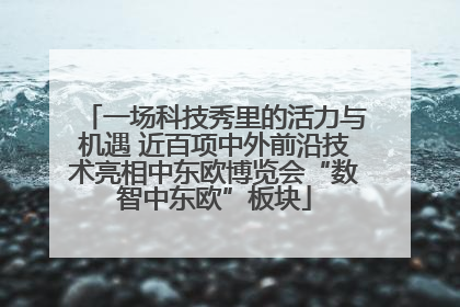一场科技秀里的活力与机遇 近百项中外前沿技术亮相中东欧博览会“数智中东欧”板块