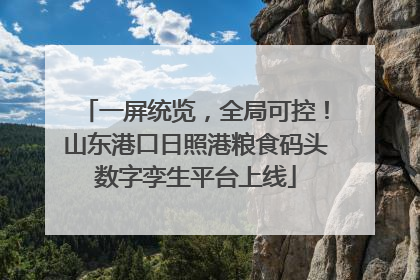 一屏统览，全局可控！山东港口日照港粮食码头数字孪生平台上线