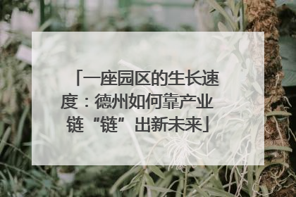 一座园区的生长速度：德州如何靠产业链“链”出新未来